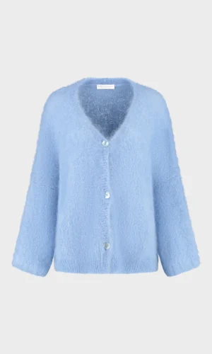 Amaya Amsterdam Vest Roos Licht Blauw