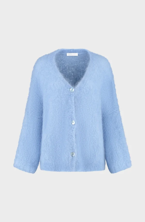 Amaya Amsterdam Vest Roos Licht Blauw