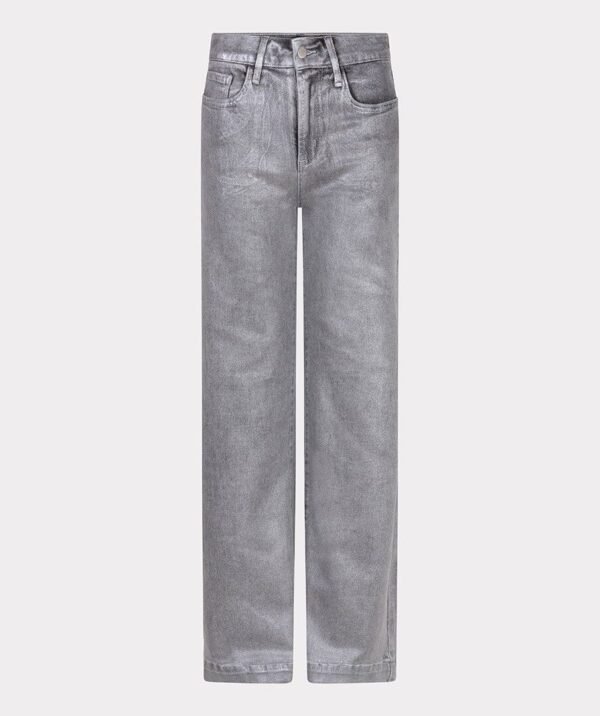 Esqualo Jeans Straight Metallic F25.12507 Grijs - Afbeelding 5