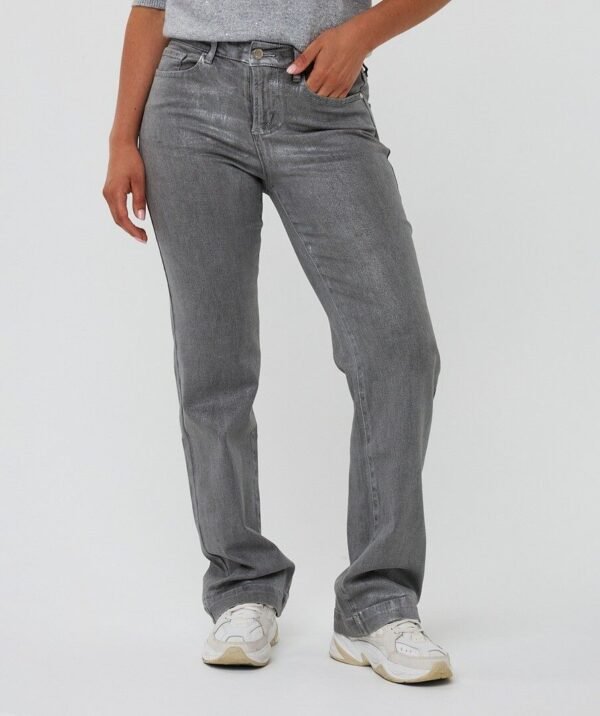 Esqualo Jeans Straight Metallic F25.12507 Grijs - Afbeelding 3