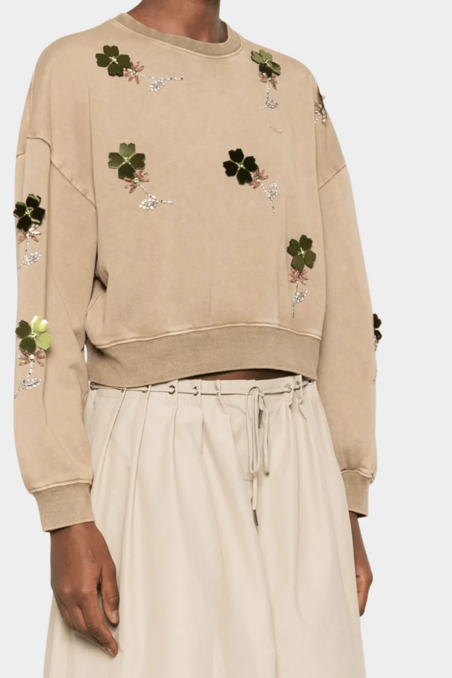 Pinko Sweater Borduursel 106302-A34L Beige-Kelp